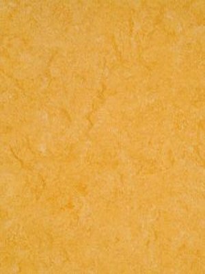 Armstrong Marmorette LPX  Linoleum golden yellow DLW, Acrylat-Polymer-Oberflche, Strke  3,2 mm waml072-121c