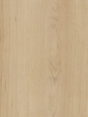 Amtico Spacia Vinyl Designbelag Warm Maple Wood zum Verkleben, Kanten gefast wSS5W2502