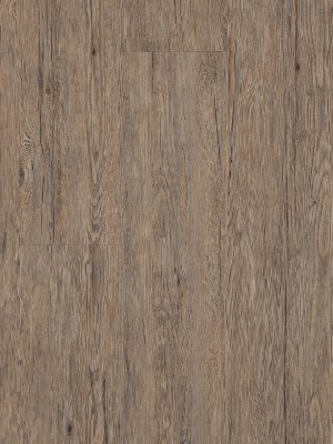 wA2854-03 Adramaq Old Wood Vinyl Designbelag Esche rustikal grau rustikales Holzdekor, synchrongeprgt