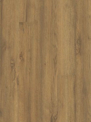 wmp24847c Moduleo Primero 30 Click Vinyl Major Oak Designbelag Wood Planken Klicksystem