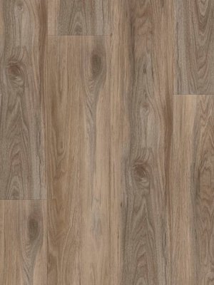 wA-89994 Adramaq Kollektion TWO Wood Planken zum Verkleben Ulme Grau