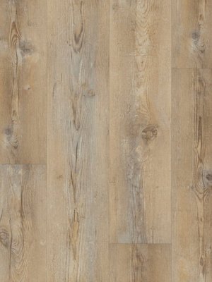 wA-89989 Adramaq Kollektion TWO Wood Planken zum Verkleben Skandinavische Pinie Natur