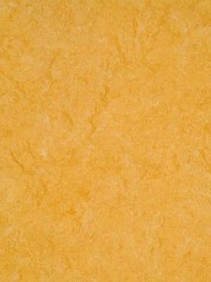 waml072-121b Armstrong Marmorette LPX  Linoleum golden...