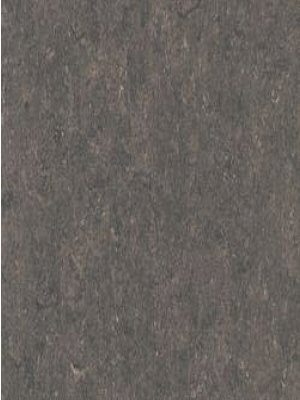 waml158-121b DLW Marmorette Neocare Linoleum tabac grey...