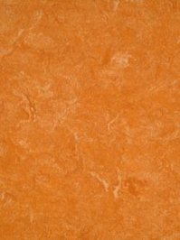 waml073-121b DLW Marmorette Neocare Linoleum spicy...