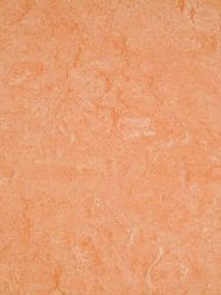 waml075-121b DLW Marmorette Neocare Linoleum light...