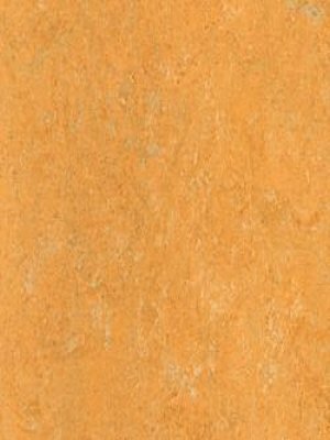 waml173-121b DLW Marmorette Neocare Linoleum melon...