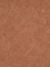 waml003-121b DLW Marmorette Neocare  Linoleum dark brown,...