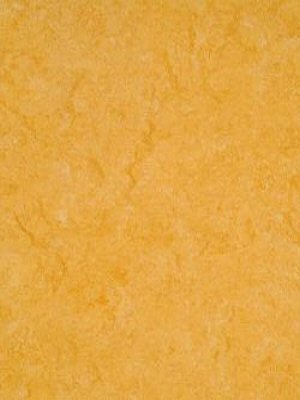 Gerflor DLW Marmorette neocare Linoleum golden yellow...