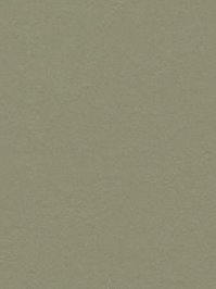 wfwc3355 Forbo Linoleum Uni rosemary green Marmoleum Walton