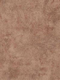 tics0469 Gerflor Taralay CV-Belag Camel Treppenboden...