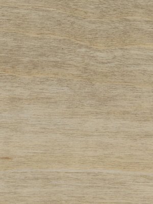 Amtico Spacia Vinyl Designbelag Bleeched Elm  Wood zum Verkleben, Kanten gefast wSS5W2516