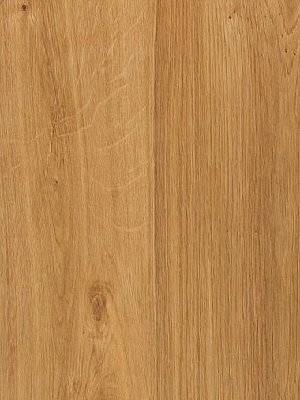 Amtico First Vinyl Designbelag English Oak Wood...