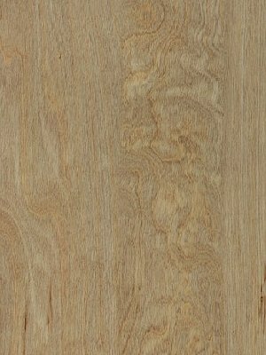 Amtico Access Vinyl Designbelag Bleached Elm Wood...