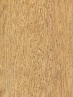 Amtico Access Vinyl Designbelag Pale Ash Wood selbstliegender Vinyl Designbelag, Kanten gefast wSX5W2518