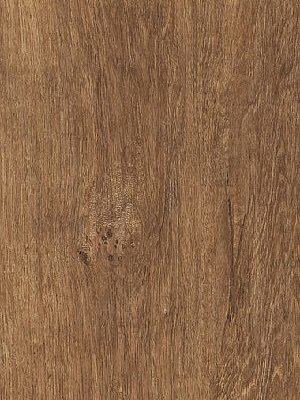 Amtico Signature Vinyl Designbelag Varnished Oak Wood Standard wAROW7840