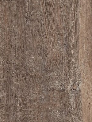 Amtico Signature Vinyl Designbelag Reclaimed Oak Wood Standard wAROW7870