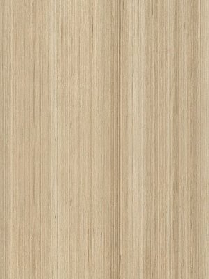 Amtico Signature Vinyl Designbelag Fused Brich Wood Standard wAROW7500