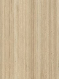 Amtico Signature Vinyl Designbelag Fused Brich Wood...