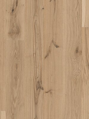 wP1518261 Parador Basic 11-5 Holzparkett Eiche wei rustikal M4V Fertig-Parkett in Landhausdielen-Optik, naturgelt wei