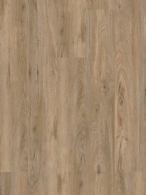 Project Floors floors@work 55 Vinyl Designbelag 2020...