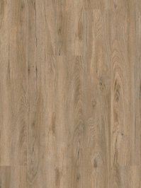 Project Floors floors@work 55 Vinyl Designbelag 2020...