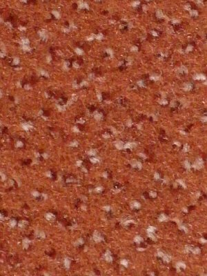 Muster: m-wIBCay710 Infloor Business Teppichboden Cayenne...
