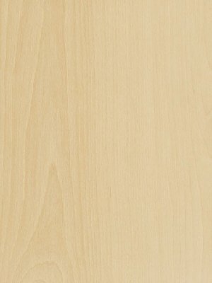 Muster: m-wSX5W5023 Amtico Access Vinyl Designbelag Wood...