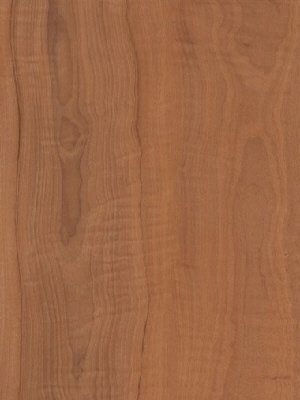 Muster: m-wAROW800 Amtico Signature Vinyl Designbelag...
