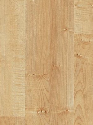 Muster: m-wP1426411 Parador Basic 200 Laminat hochwertig,...