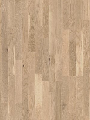 Muster: m-wP1366061 Parador Basic 11-5 Holzparkett...