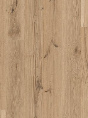 Muster: m-wP1518250 Parador Basic 11-5 Holzparkett...