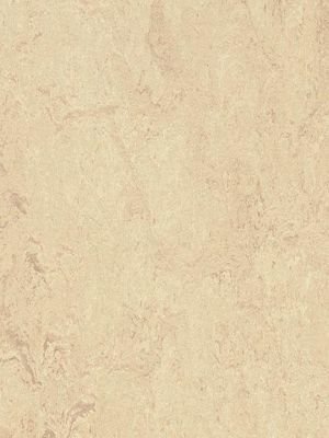 Muster: m-wmr2713-2,5 Forbo Marmoleum Real Linoleum...