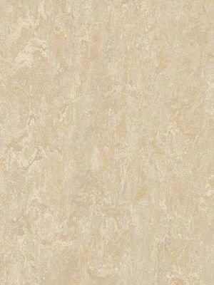 Muster: m-wmr2499-2,5 Forbo Marmoleum Real Linoleum...