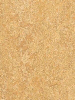 Muster: m-wmr3173-2,5 Forbo Marmoleum Real Linoleum...