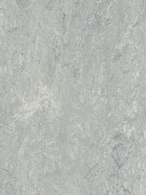 wmr2621-2,5 Forbo Marmoleum Real dove grey Linoleum Naturboden