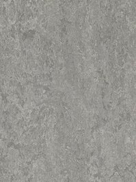 wmr3146-2,5 Forbo Marmoleum Real serene grey Linoleum...