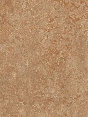 wmr3233-2,5 Forbo Marmoleum Real shitake Linoleum Naturboden