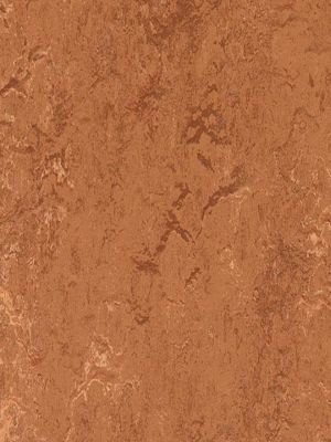 Muster: m-wmr2767-2,5 Forbo Marmoleum Real Linoleum...