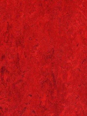 Muster: m-wmr3127-2,5 Forbo Marmoleum Real Linoleum...