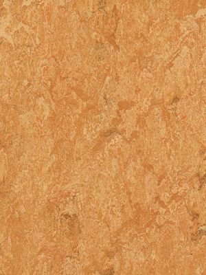 Muster: m-wmr3174-2,5 Forbo Marmoleum Real Linoleum...