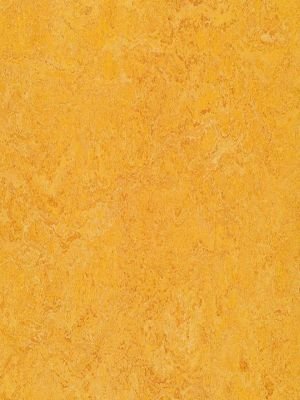 wmr3225-2,5 Forbo Marmoleum Real dandelion Linoleum Naturboden