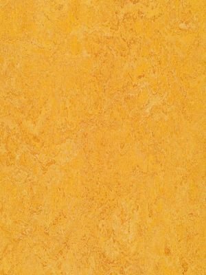 Muster: m-wmr3225-2,5 Forbo Marmoleum Real Linoleum...
