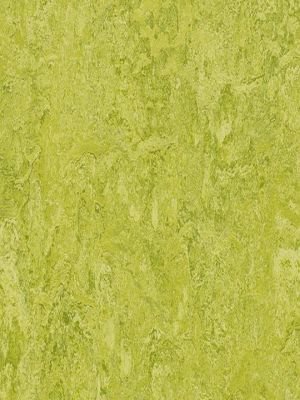 wmr3224-2,5 Forbo Marmoleum Real chartreuse Linoleum...