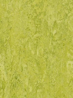 Muster: m-wmr3224-2,5 Forbo Marmoleum Real Linoleum...