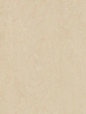 Muster: m-wmf3861-2,5 Forbo Marmoleum Fresco Linoleum...