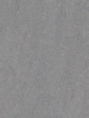 Muster: m-wmf3866-2,5 Forbo Marmoleum Fresco Linoleum...