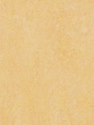 wmf3846-2,5 Forbo Marmoleum Fresco natural corn Linoleum Naturboden