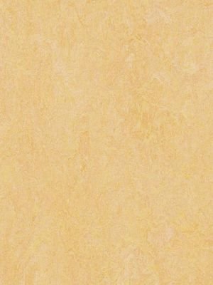 Muster: m-wmf3846-2,5 Forbo Marmoleum Fresco Linoleum...