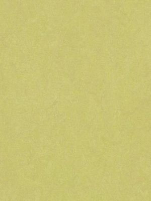 wmf3885-2,5 Forbo Marmoleum Fresco spring buds Linoleum...